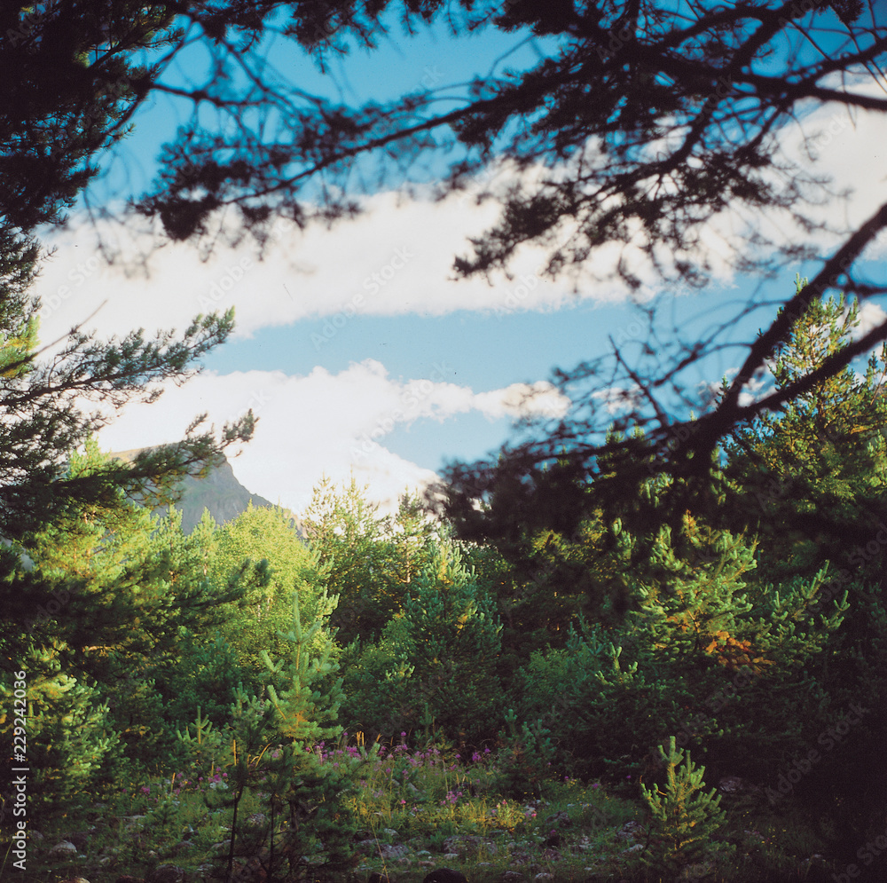 Obraz premium .4.1.1