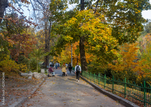 Fototapeta Naklejka Na Ścianę i Meble -  Autumn day in the park, October