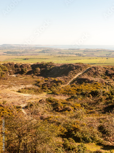 hardy monument tall building old special england dorset black down countryside nature landscape