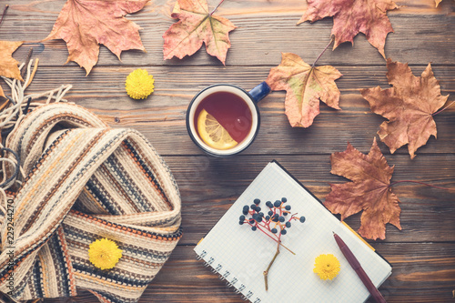 Autumn fashion seasonal concept Scandinavian knitted scarf cup hot black tea