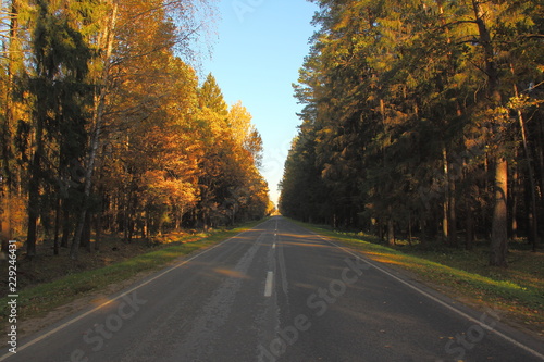 Beautiful picturesque suburban asphalt forest road in autumn sunny day - country landscape on clear blue sky background