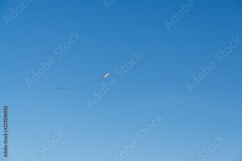 Kites flying on the sky. Slovakia