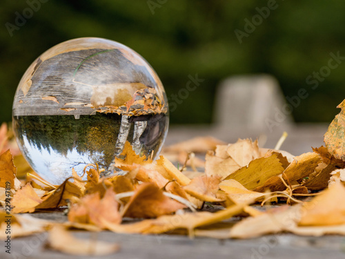Closeup of a glass ball held up by a human hand reflecting the wooded area inside the sphere