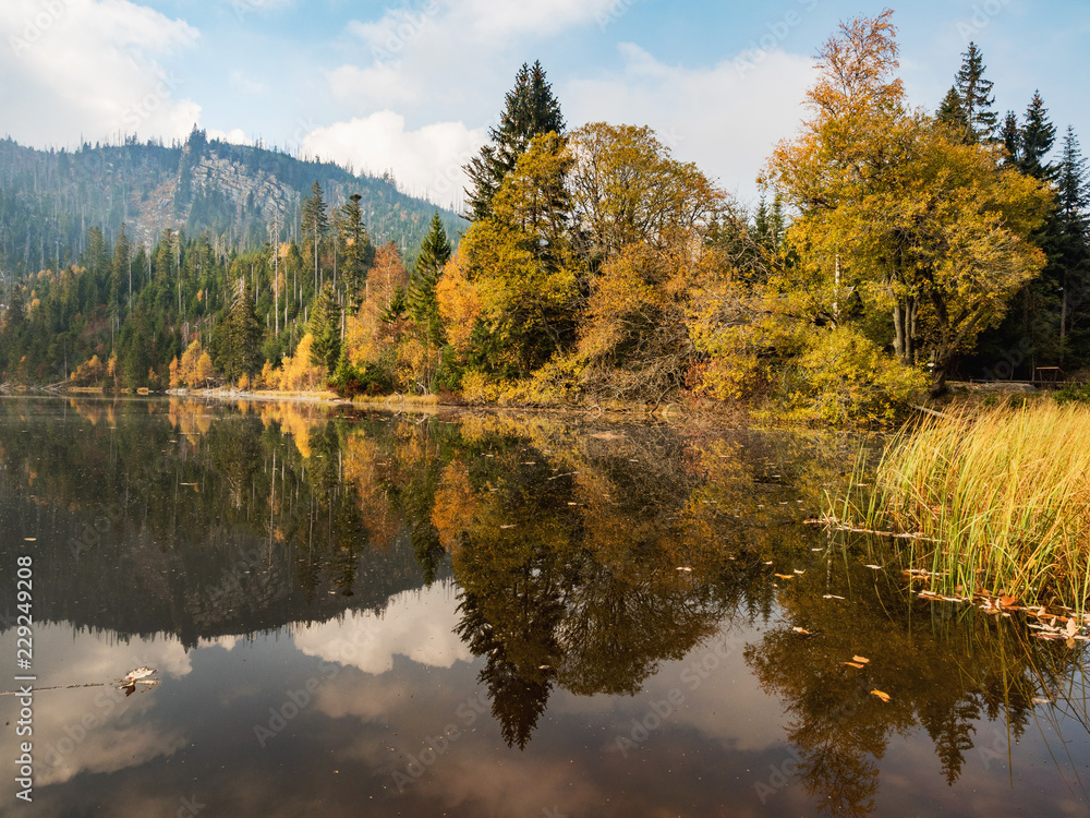 Plesne lake in Sumava national park (Bohemian Forest) in autumn. Czech republic,