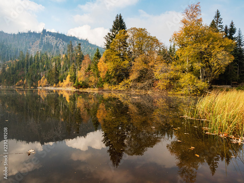 Plesne lake in Sumava national park (Bohemian Forest) in autumn. Czech republic,
