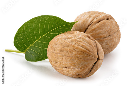 Walnuts with leaves isolated on white