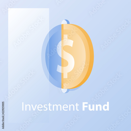 Investment fund, financial solution, providing money, cash loan, capital growth, revenue increase, wealth management photo