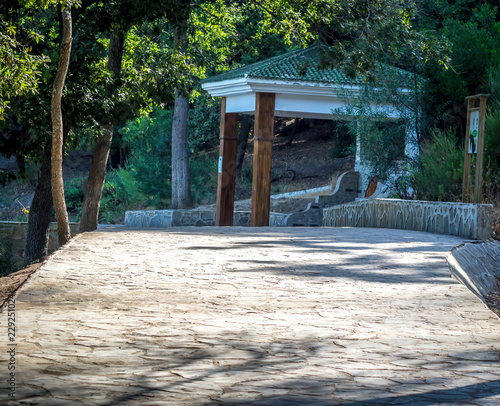 Wallpaper Mural A beautiful day in forest in Rmilate forest in summer Torontodigital.ca