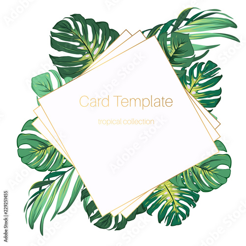 Square rhombus border frame template decorated with bright green exotic tropical jungle palm tree monstera leaves. Banner poster promo card template. Fashion beauty collection. Text placeholder.