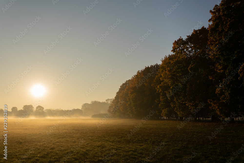 Golden Polish autumn. Picturesque landscape with trees with yellow leaves on a sunny day.