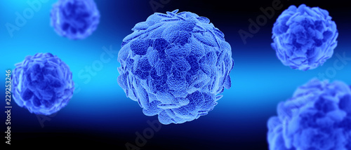 T-Zellen photo