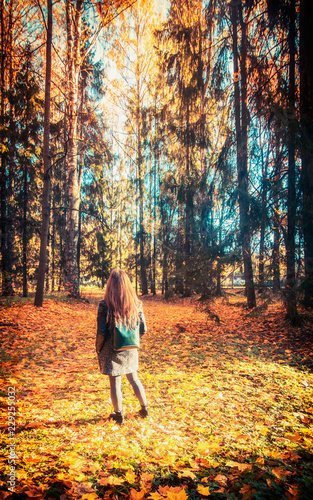 autumn forest landscape yellow leaves lie on the ground, various plants, the girl looks at the forest © sergeyshibut