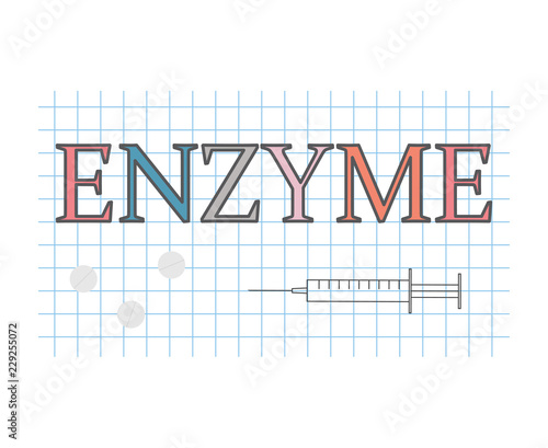 enzyme word on checkered paper sheet- vector illustration