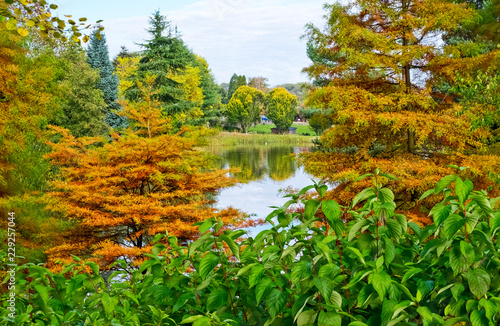 Bodenham Arboretum autumn colours Worcestershire