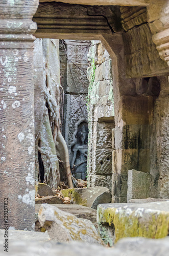 Ruins of temples of Angkor Thom with roots of a spung and the hidden female divine carved figurine photo