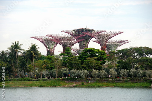 View of Supertree Grove and Gardens by the Bay, Singapore
