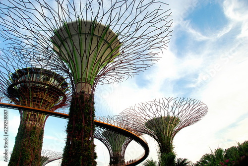 Skyway on a top of Supertree Grove in Gardens by the Bay, Singapore