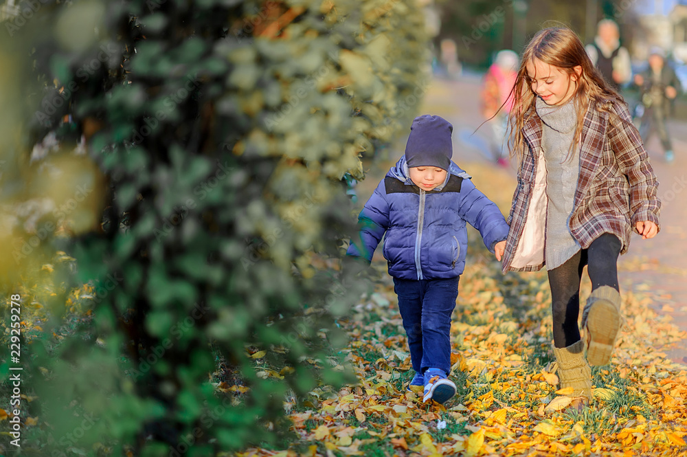 Fototapeta premium boy and girl walk on the fallen leaves holding hands