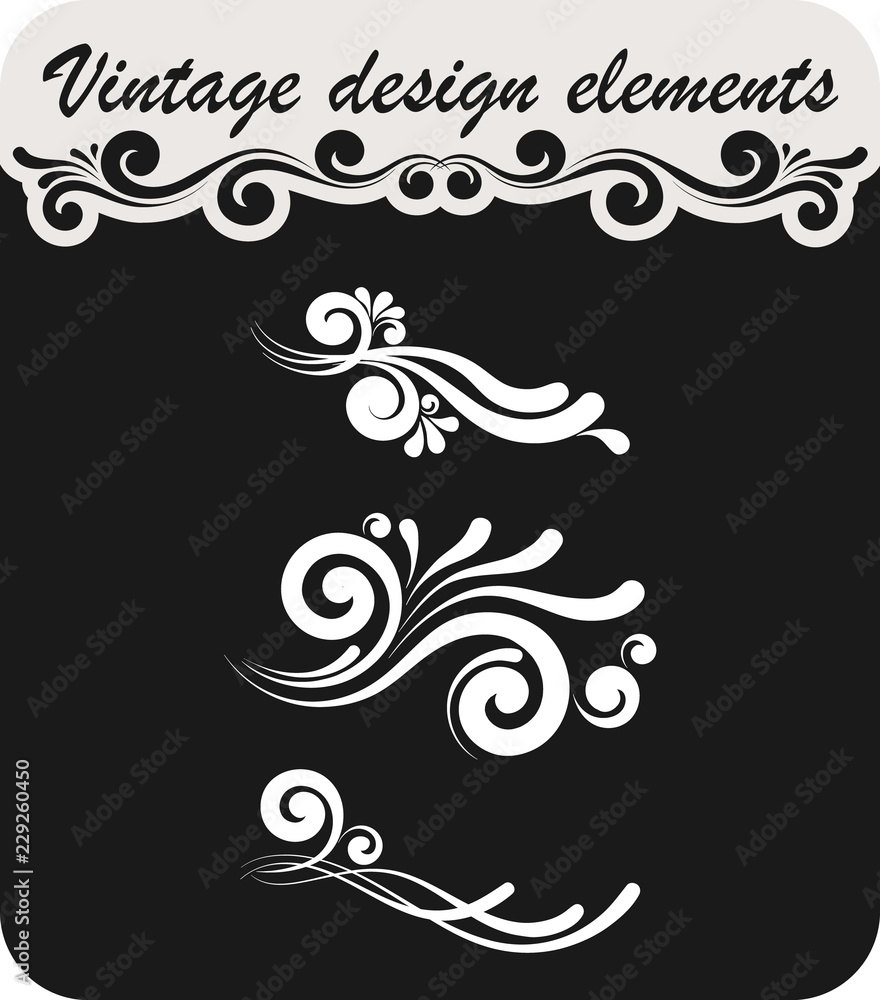 Fototapeta premium Vintage decorative design elements