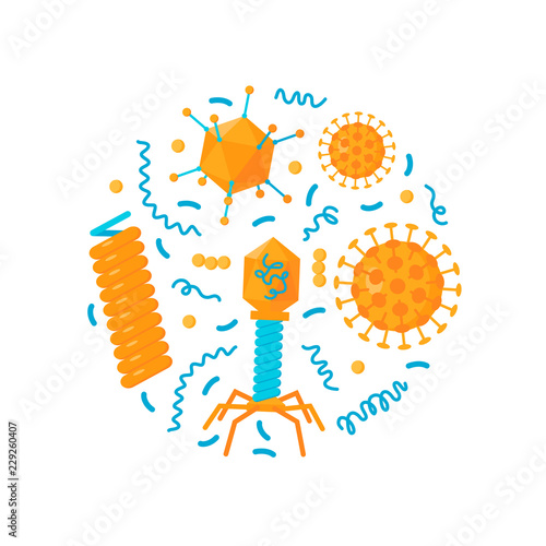 Bacteria and viruses vector concept