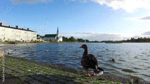 Reykjavik Island Reykjavikurtjoern photo