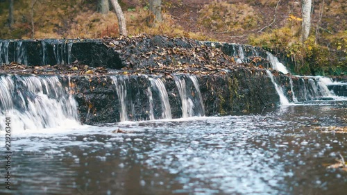 Wallpaper Mural Forest river rapids, part 1 Torontodigital.ca