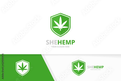 Vector marijuana leaf and shield logo combination. Hemp and security symbol or icon. Unique cannabis and guard logotype design template.