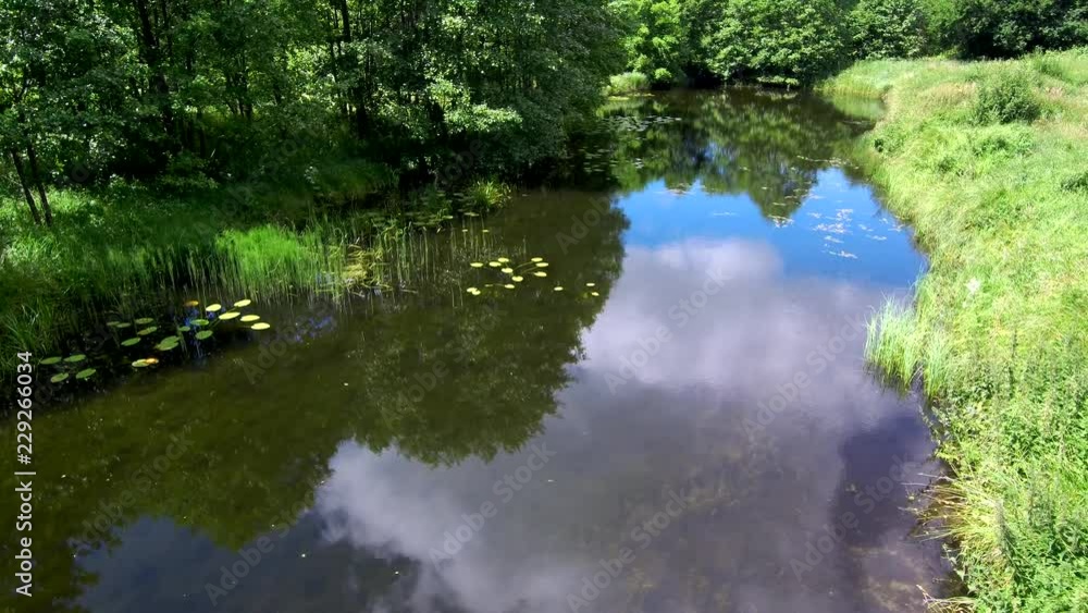 forest, tree, green, around, field, nature, forest, lake, water forest, tree, green, around, field, nature, forest, lake, water