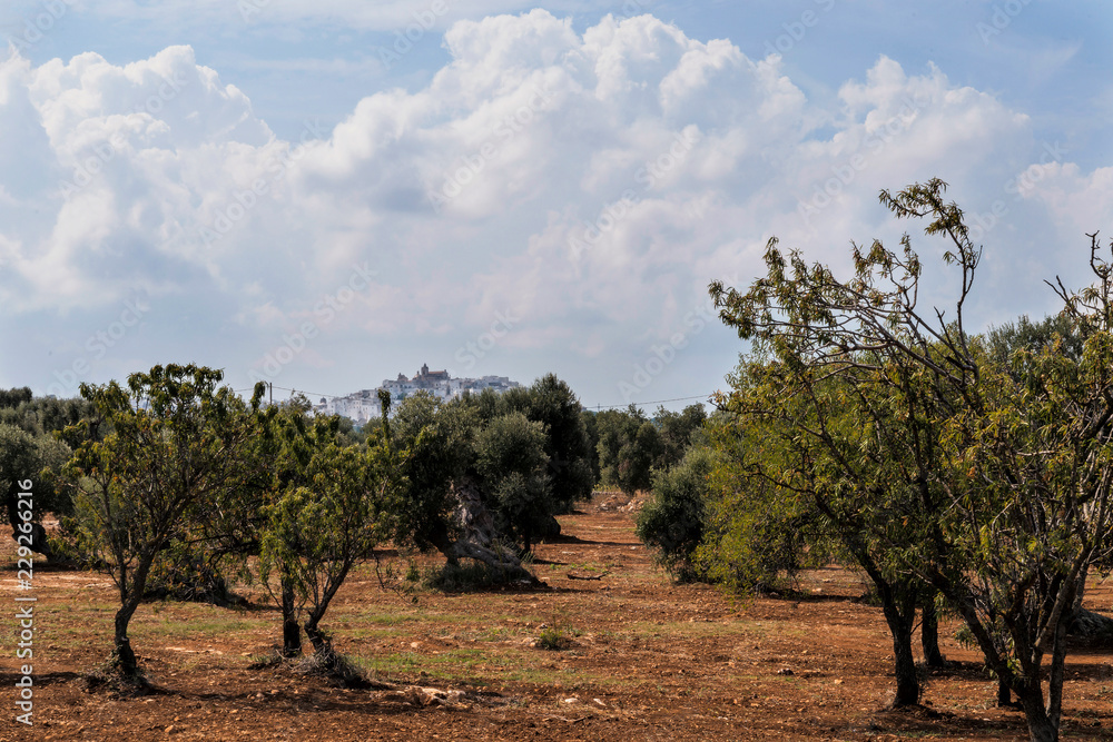 Countryside near the medieval white village of Ostuni