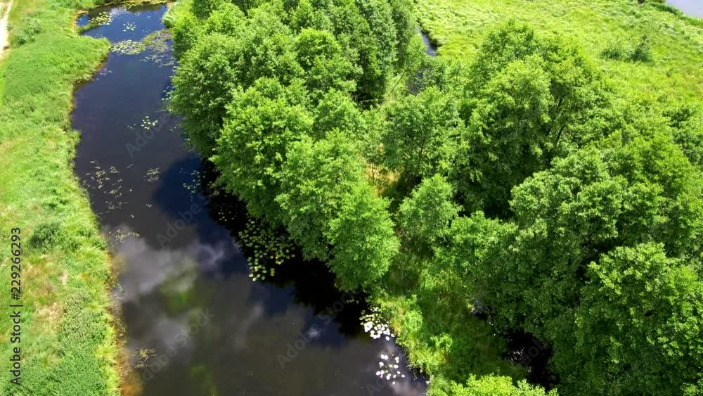 forest, tree, green, around, field, nature, forest, forest, tree, green, around, field, nature, forest,