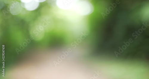 Blurred background plate of hiking trail through lush green vegetation