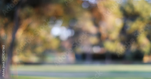 Blurred backdrop of city park trees in autumn for compositing