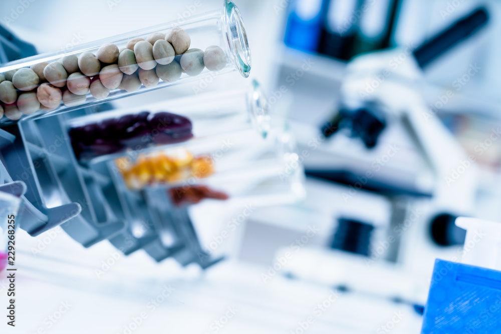 Chemical Laboratory of the Food supply . Food in laboratory, dna modify .GMO Genetically modified food in lab Chemical Laboratory of the Food supply . Food in laboratory, dna modify .GMO Genetically modified food in lab