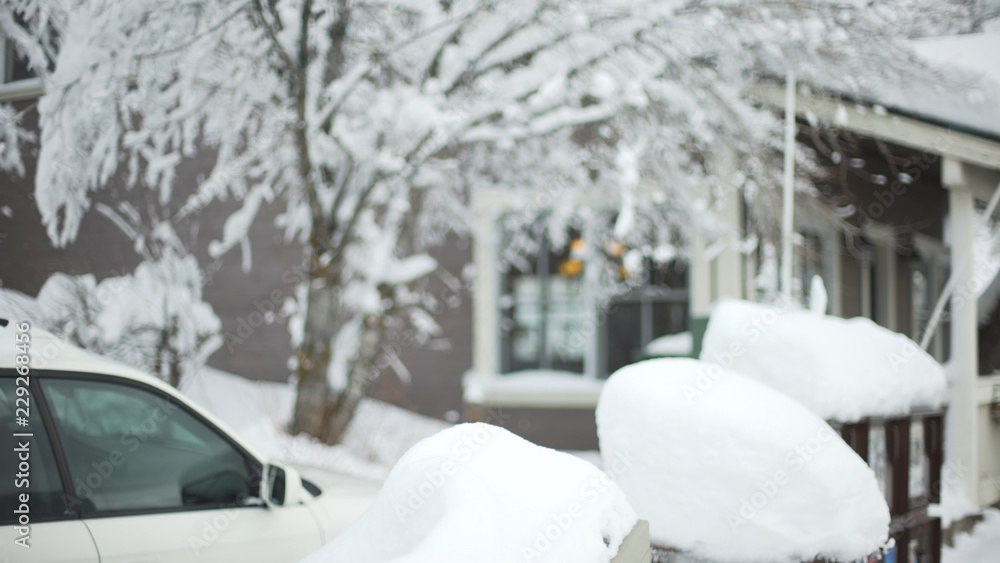 custom made wallpaper toronto digitalSnow covered trees and stands on a winter city street for background plate
