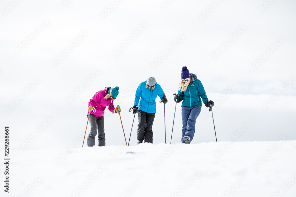 winter, skiing, woman, mountain, outdoors, happy, people, young, group, friends, smiling, white, fun, hat, beautiful, happiness, together, girls, friendship, casual, athletic, sports