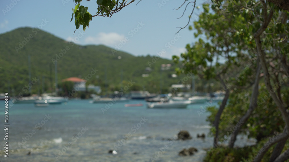Background Plate of View of the boats docking in the Caribbean bay Background Plate of View of the boats docking in the Caribbean bay