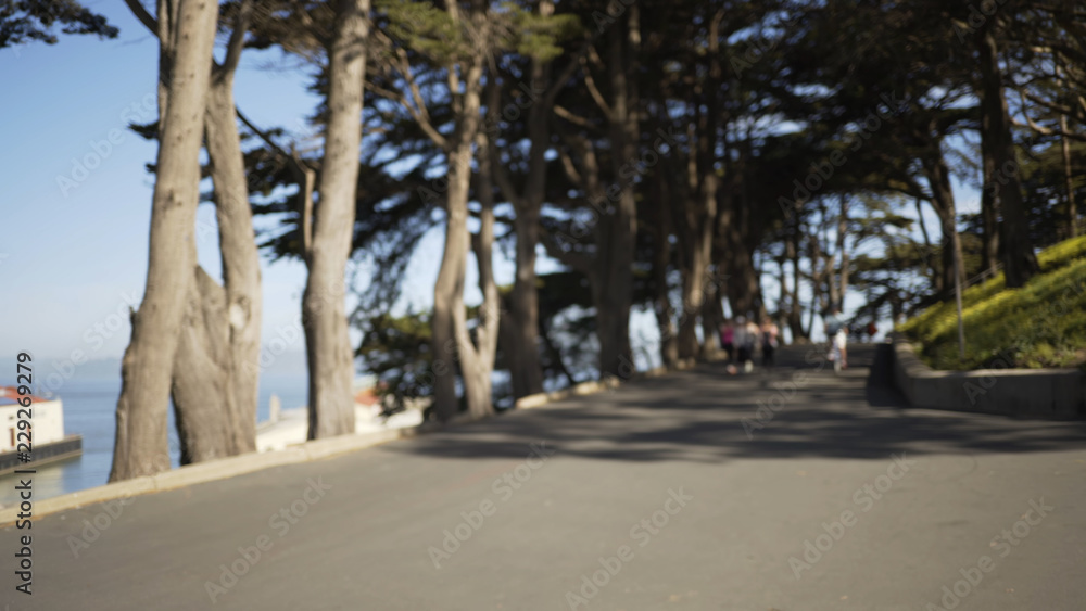  backdrop of park trail by the ocean filled with joggers and cyclists