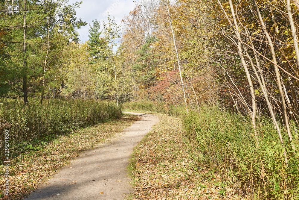 Obraz premium Fall in Barrie, Ontario