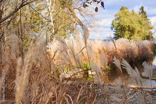 Fall in Barrie, Ontario