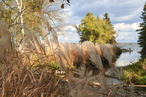 Fall in Barrie, Ontario