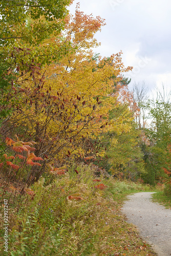 Fall in Barrie, Ontario