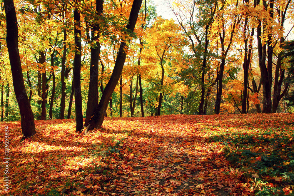 Goldener Herbst