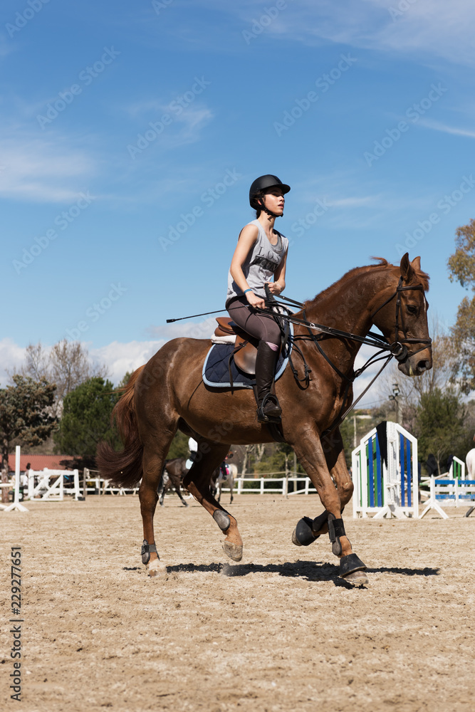 Confident woman riding horse on hippodrome Confident woman riding horse on hippodrome