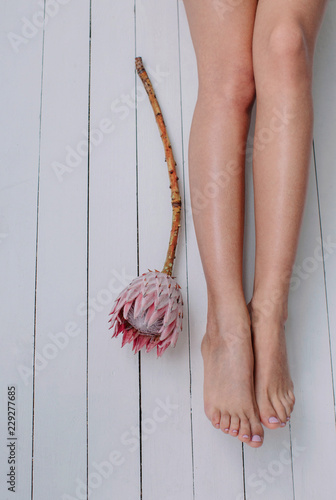 Cute female's legs on white wooden floor and exotic pink flower