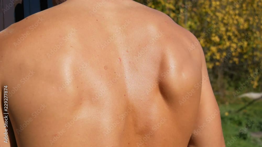 Muscles of the back of a sexy, sunburnt pumped up young worker. Sweat on back, bare torso Muscles of the back of a sexy, sunburnt pumped up young worker. Sweat on back, bare torso