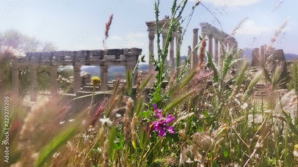 Pergamon museum, ruins of ancieny city, beautiful view in spring, Bergama, Turkey Pergamon museum, ruins of ancieny city, beautiful view in spring, Bergama, Turkey