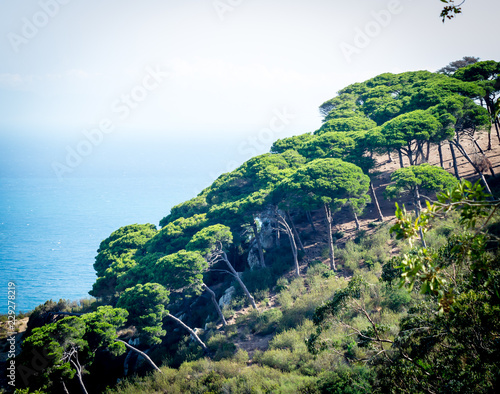A beautiful day in forest and sea in Rmilat forest in Tangier