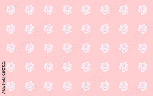 Pattern background of aguape flowers, matte pink