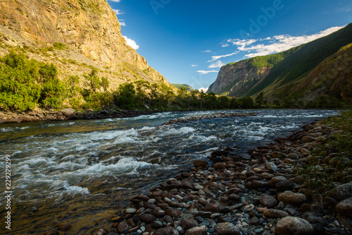 Rapid river of Chulyshman during sunset. Altai Republic  Russia