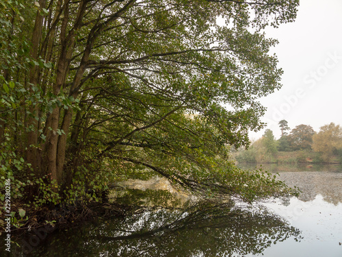 clouds over lake morning sunrise wivenhoe special scene nature landscape trees autumn fall leaves photo